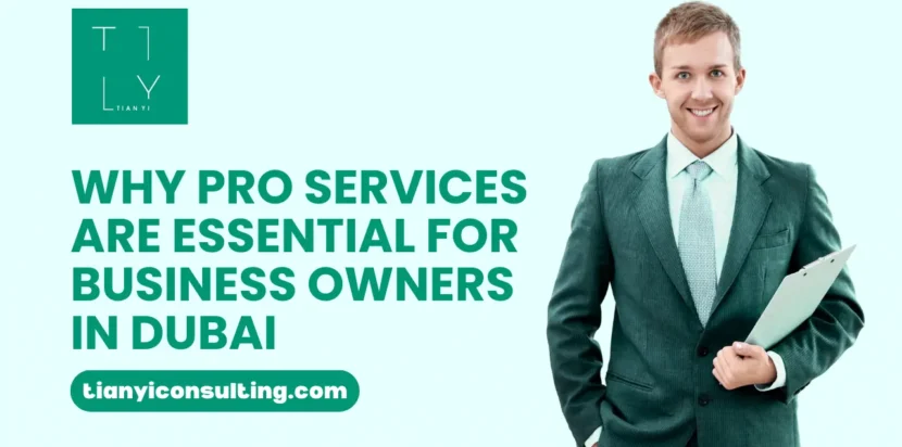PRO Services in Dubai